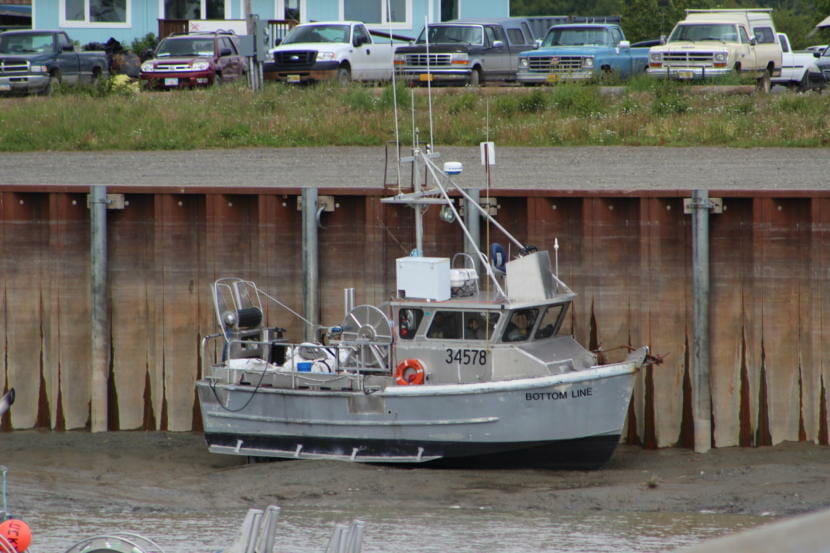 Bristol Bay sockeye a high point in the state's unpredictable salmon season