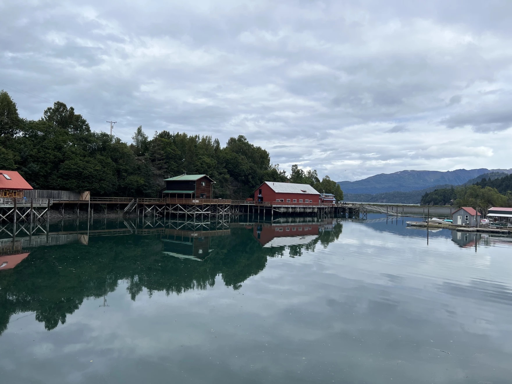 Federal charges for Halibut Cove woman accused of driving boat at