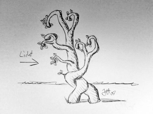 Baum zeichnen kulturbanause® blog