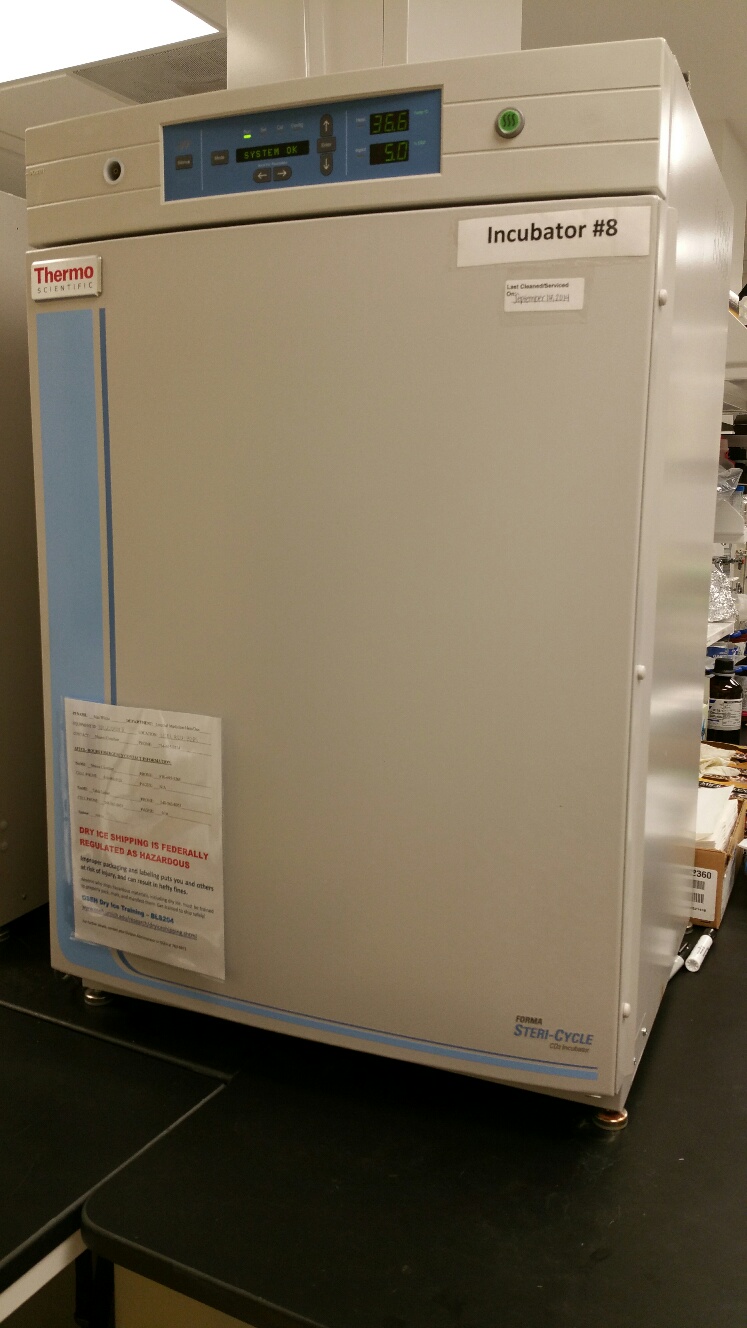  Product Review. Reliable Incubator for Your Cell Culture