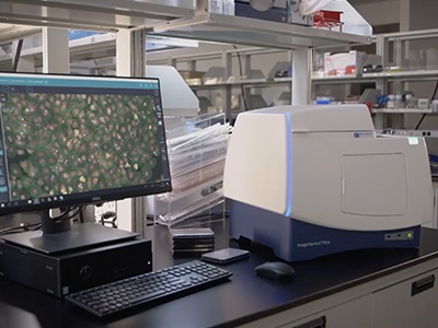 Watch Video: Molecular Devices ImageXpress Pico Automated Cell Imaging