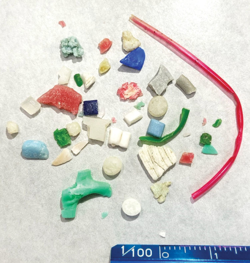 Measurement of Microplastics and Use of ThermalDamaged Plastics