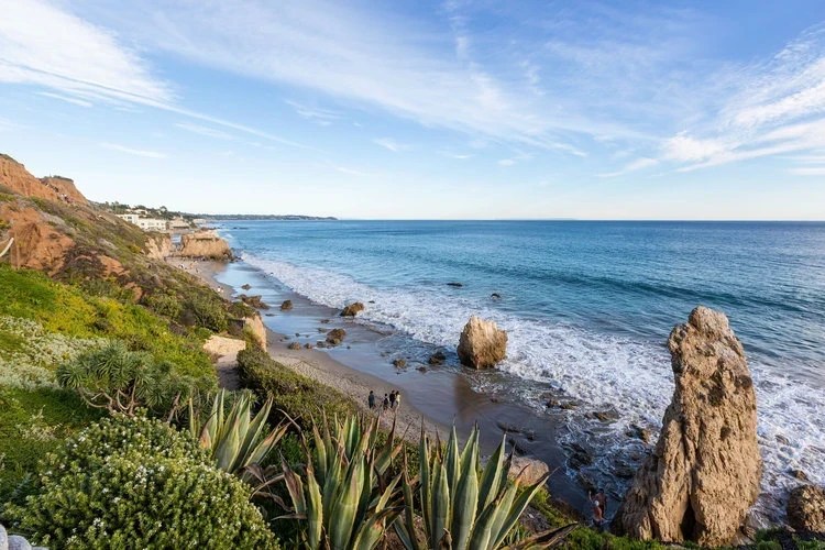 Encinal Bluffs Chris Cortazzo