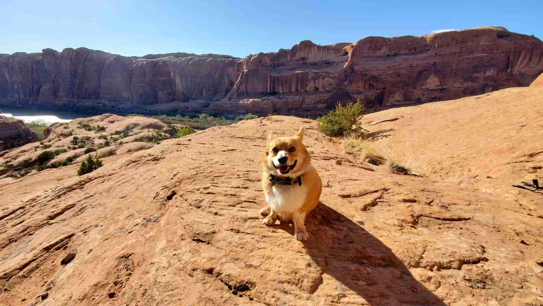 Premier Vacation Rentals in Moab, Utah Moab Utah Lodging