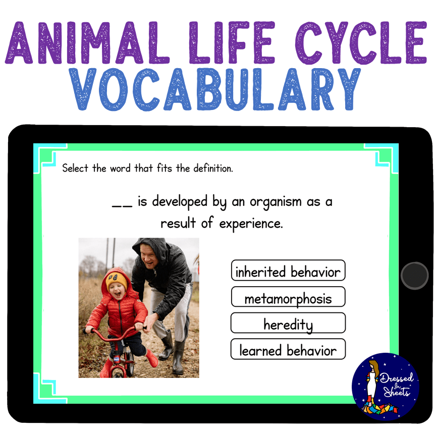 Animal Life Cycles Vocabulary BOOM Cards Made By Teachers