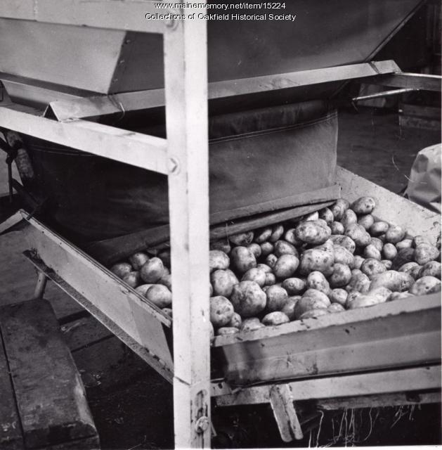 Processing potatoes, Aroostook County, ca. 1960 Maine Memory Network