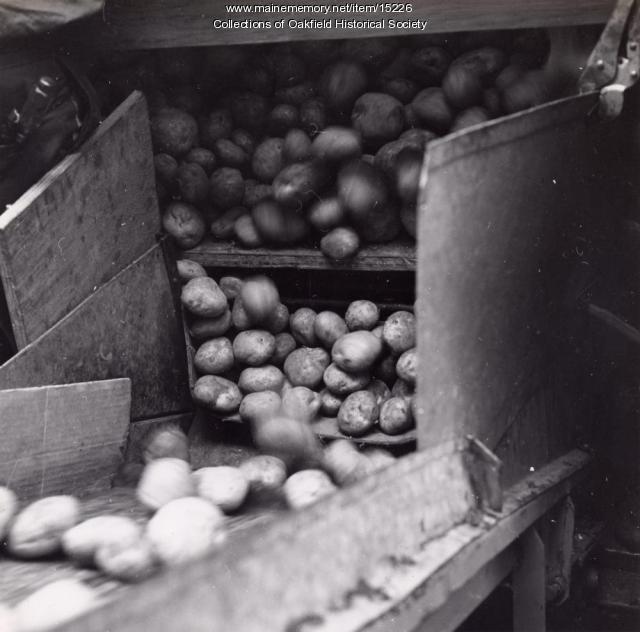 Potato delivery, Aroostook County, ca. 1960 Maine Memory Network
