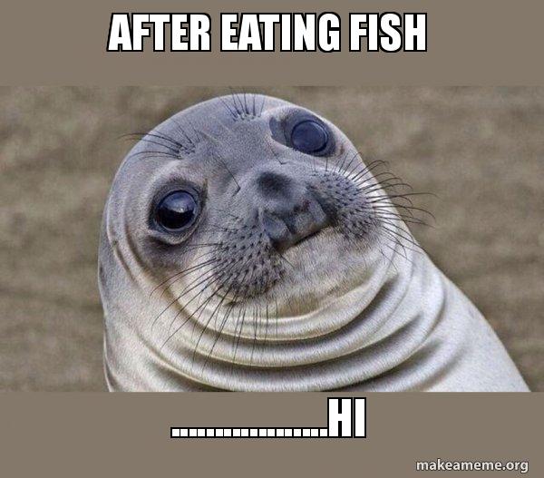 After eating fish...............hi Squeamish Seal Meme Generator