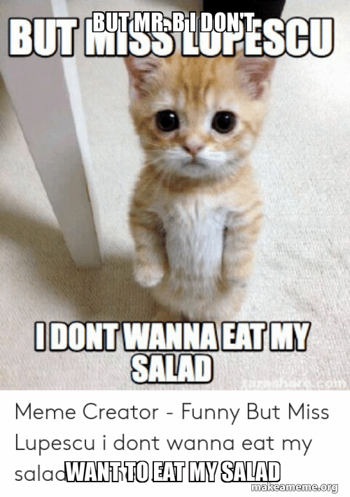 Cat Eating Salad Meme Blank