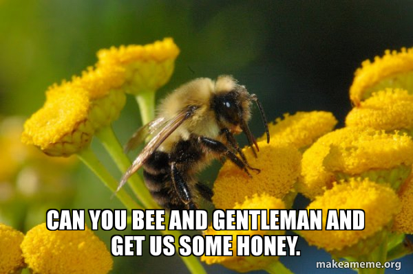 can you bee and gentleman and get us some honey. Good Guy Bee Make