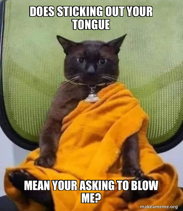 Does sticking out your tongue Mean your asking to blow me? Meme Generator