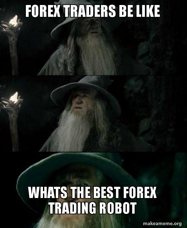 Forex Traders Be Like Whats The Best Forex Trading Robot Confused