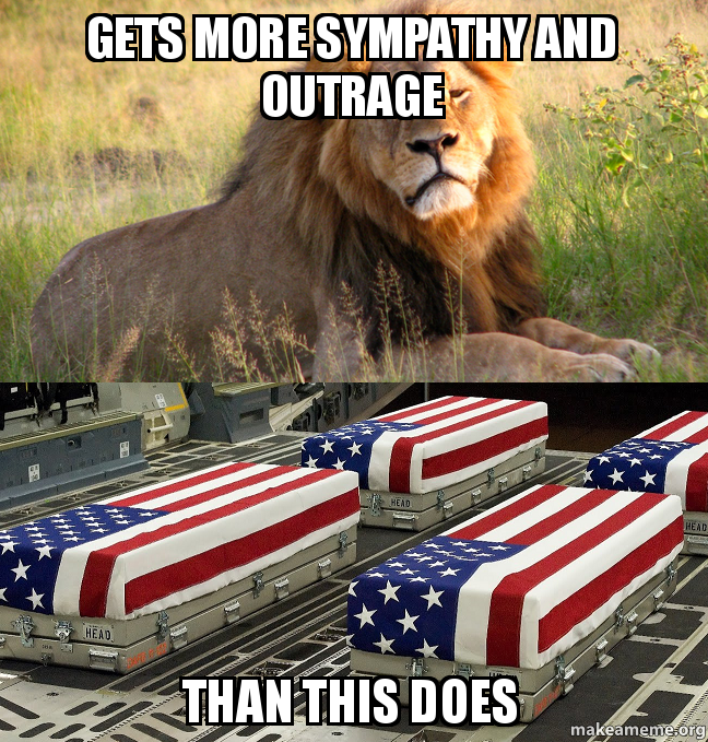 gets more sympathy and outrage than this does Make a Meme