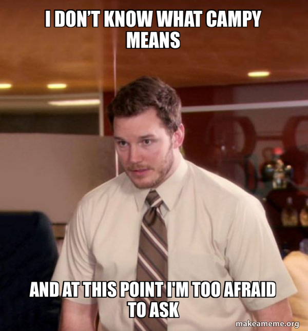 I dOn’t know what campY mEans and at this point I'm too afraid to ask Andy Dwyer Too Afraid
