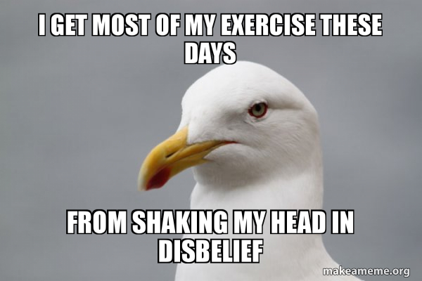 I get most of my exercise these days from shaking my head in disbelief