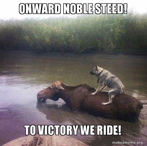 onward noble steed! To victory we ride! Make a Meme