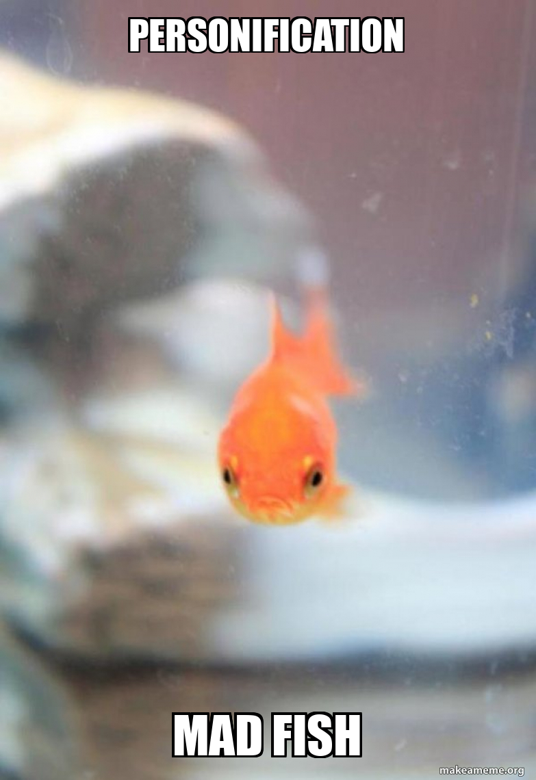 personification mad fish Grumpy Fish Make a Meme