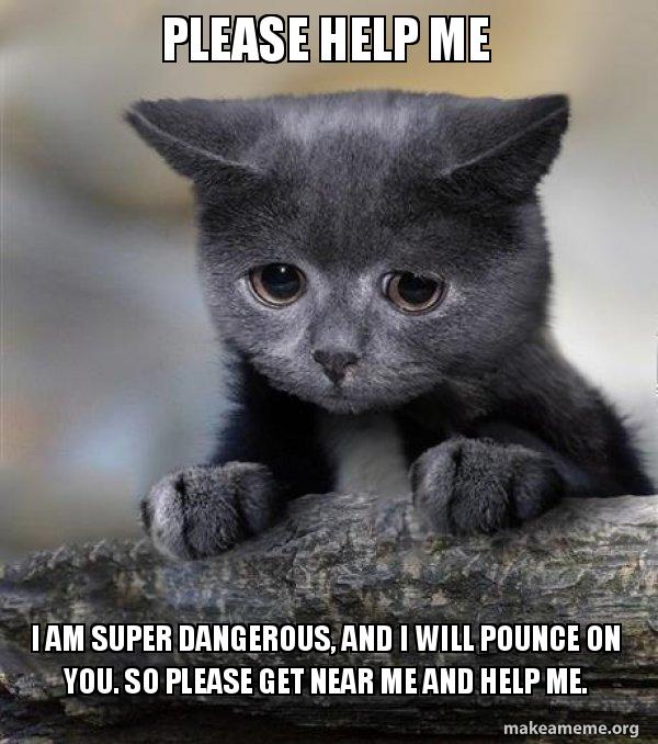 Please Help Me Meme