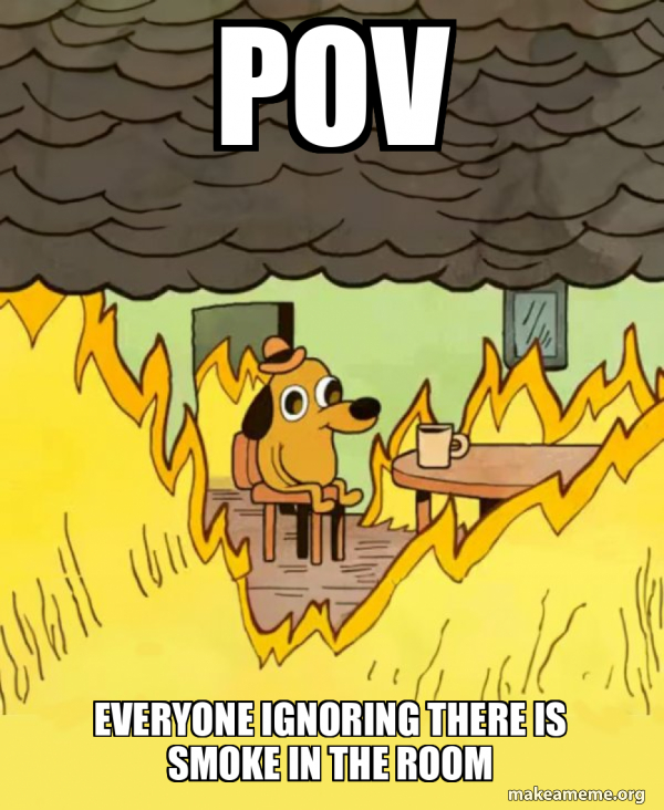POV Everyone ignoring there is smoke in the room This Is Fine Meme