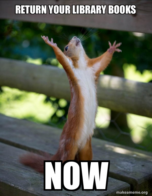Return your library books Now Happy Squirrel Meme Generator