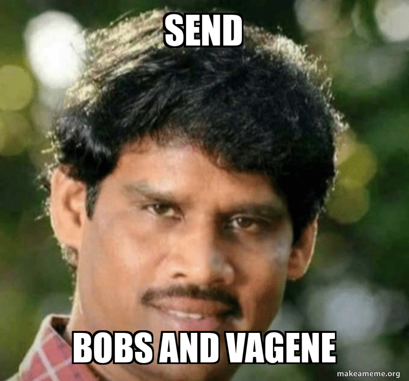 Send BobS and vaGene Make a Meme