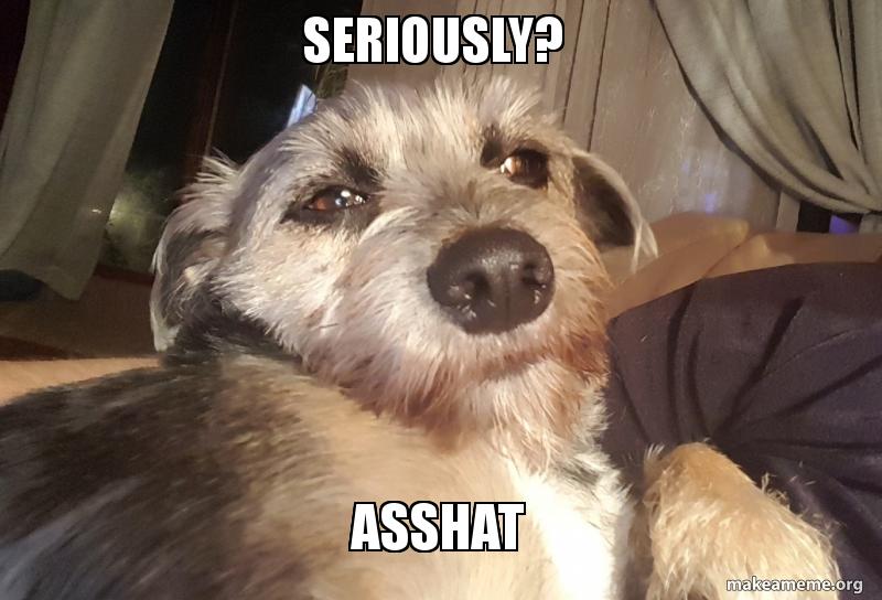SERIOUSLY? Asshat Make a Meme