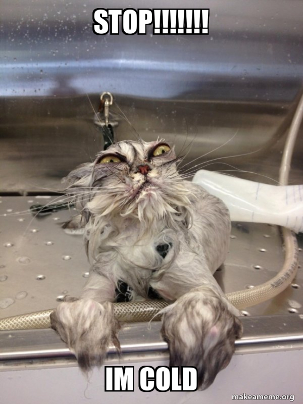 STOP!!!!!!! IM COLD Cat Bath Returns Meme Generator