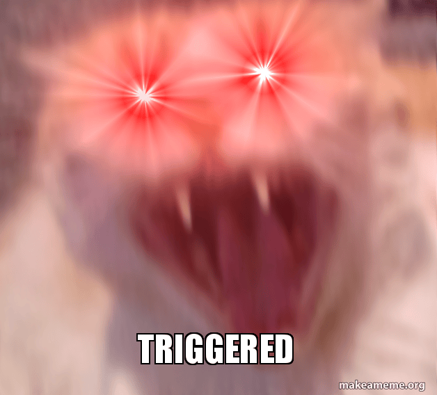 TRIGGERED triggered cat Make a Meme