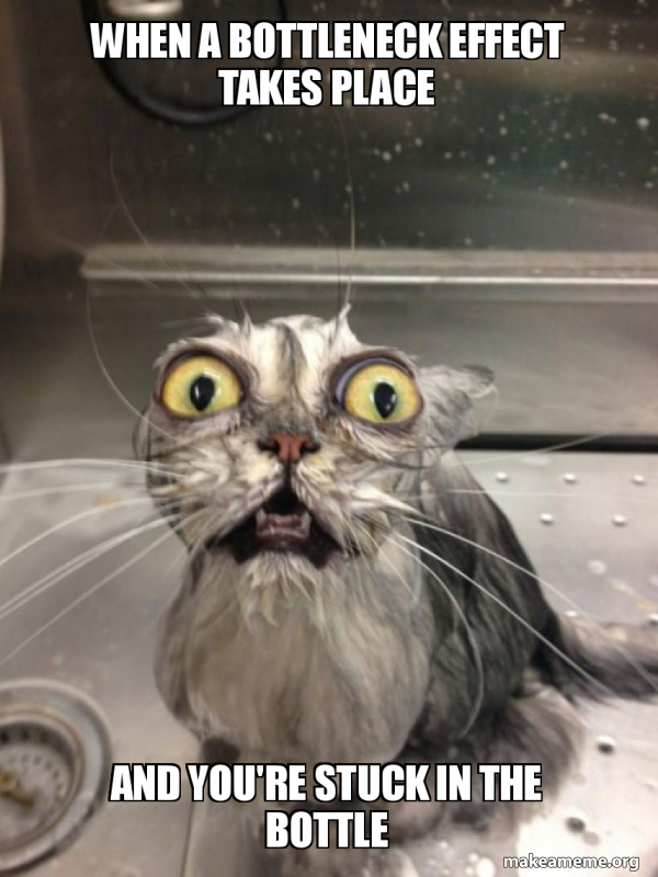 When a bottleneck effect takes place and you're stuck in the bottle