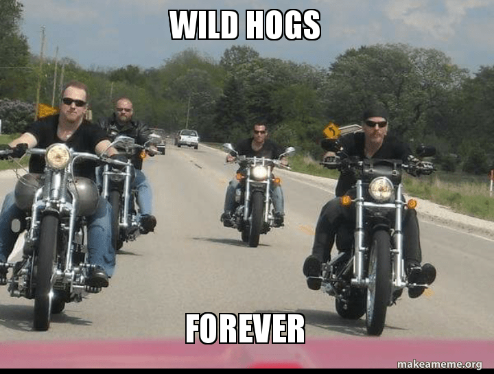 Feral Hogs Meme