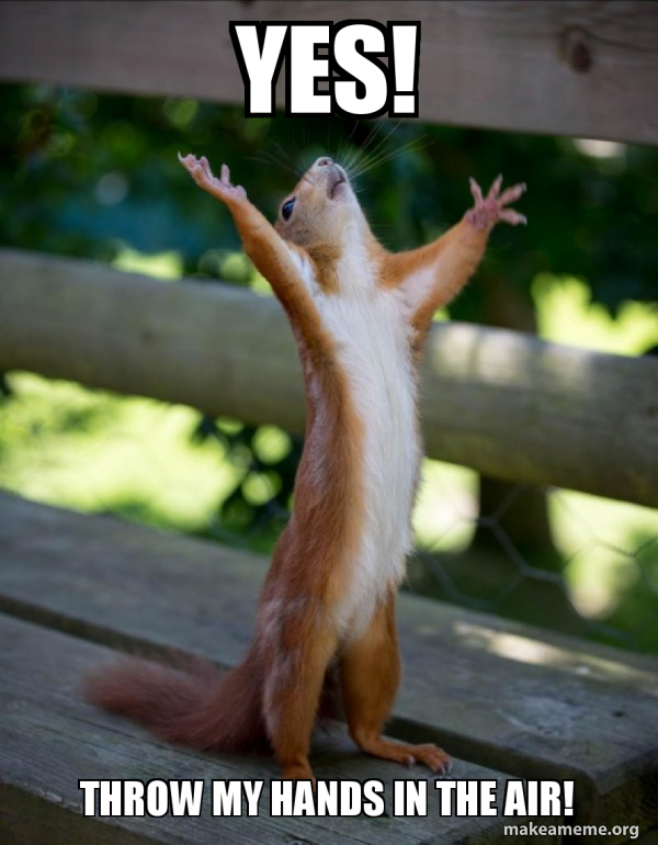 YES! Throw my hands in the air! Happy Squirrel Make a Meme
