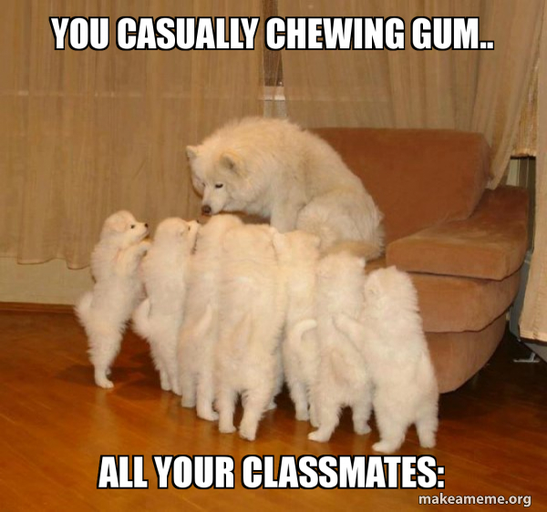 you casually chewing gum.. all your classmates Storytelling Dog Meme