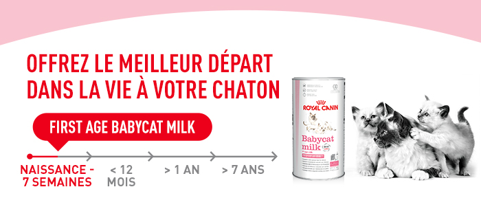 Lait maternisé Royal Canin Babycat pour chaton zooplus
