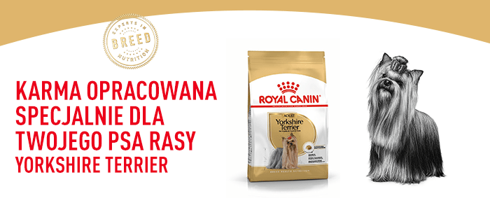 Royal Canin Breed Yorkshire Terrier Adult w sklepie zooplus