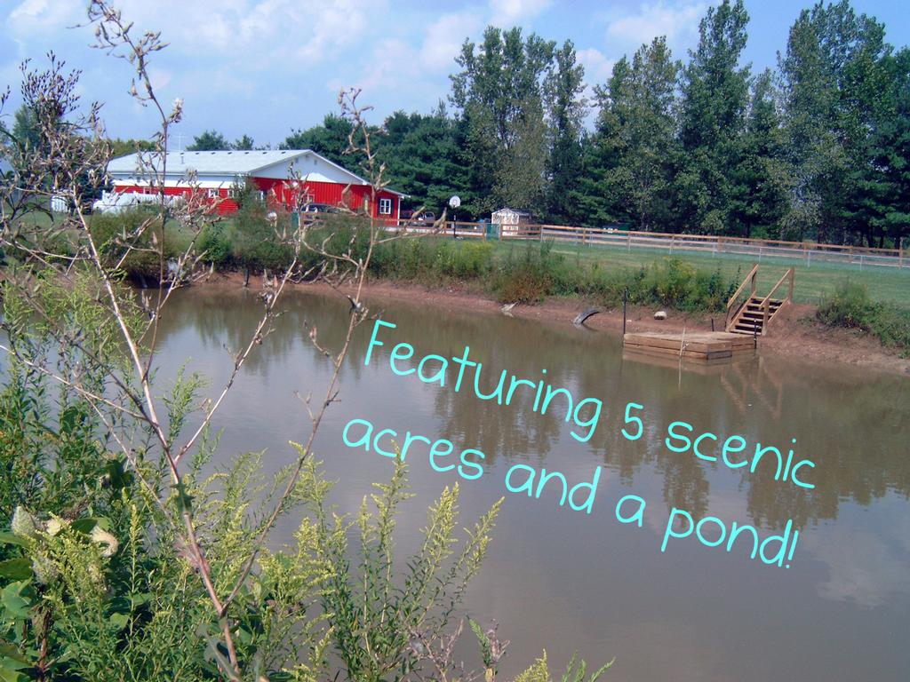 Francis Kennels Xenia OH 45385 9373741636 Cat Boarding