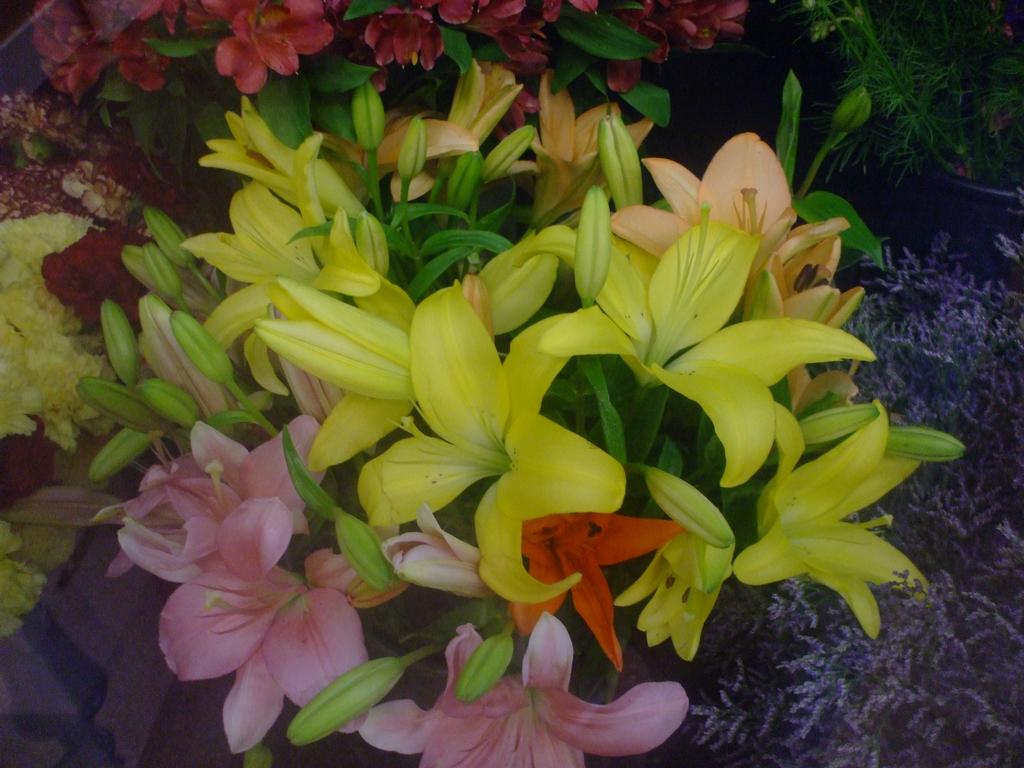 Community Flower Shop Pittsburgh PA 15218 4123716300 Flowers