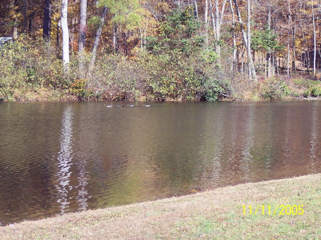 Caroline Pines Property Owners Association Ruther Glen VA 22546 804