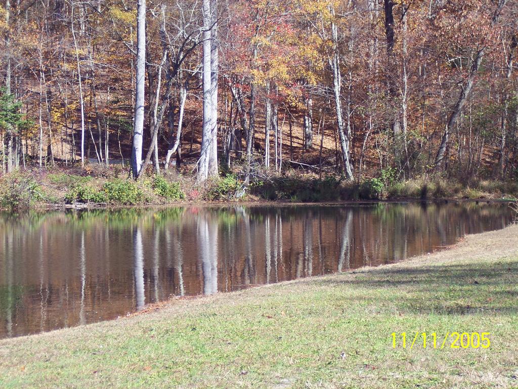 Caroline Pines Property Owners Association Ruther Glen VA 22546 804