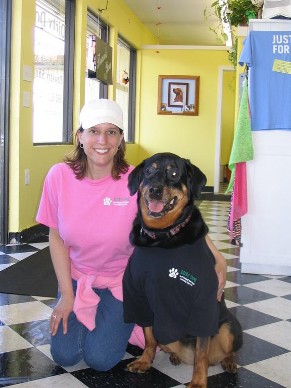 Dirty Dog Do It Yourself Pet Wash & Pawstry Shop Berlin CT 06037