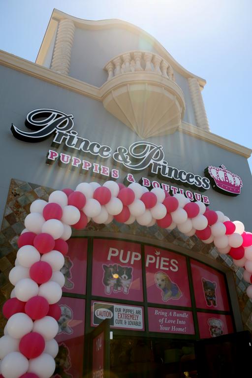 Pictures for Prince & Princess Pet Shop in Las Vegas, NV 89118