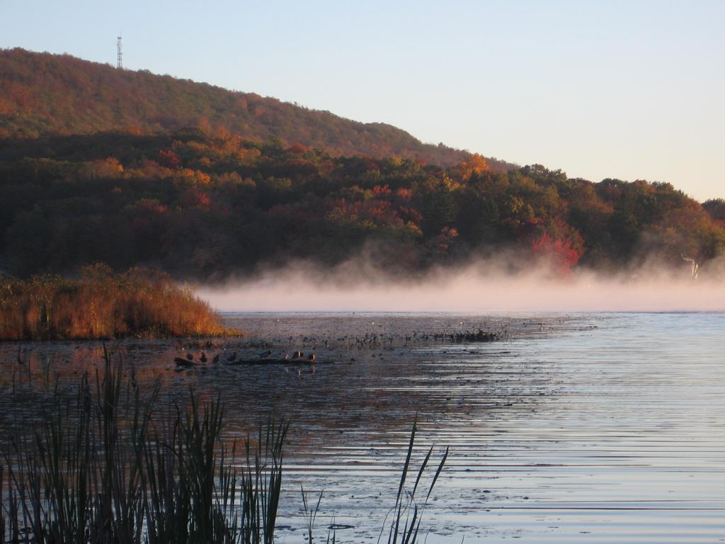 Blue Ribbon On Culver Lake Branchville NJ 07826 9739487111