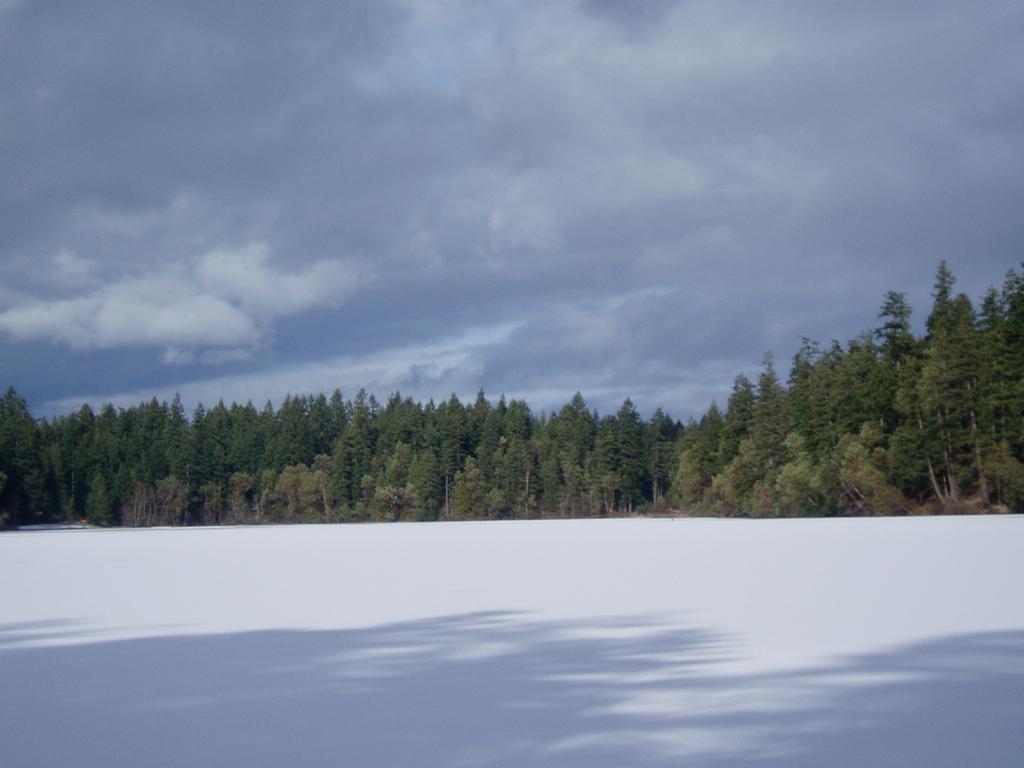 Clearwood Home Inspection Yelm WA 98597 3608943030