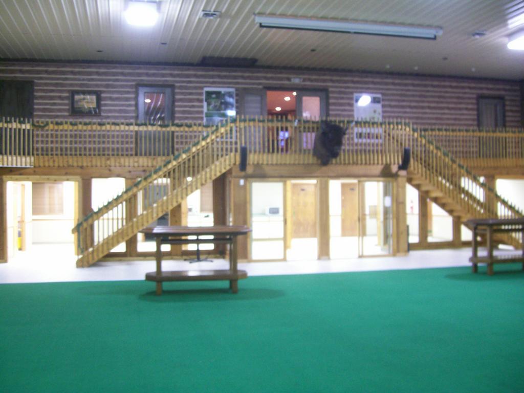 Pictures for Buffalo Creek Retreat in Seville, OH 44273