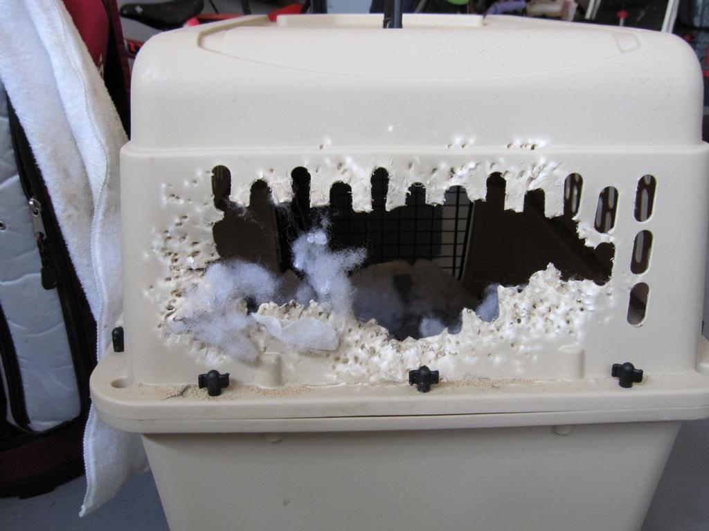 Bargain Hound Cedar Bluff VA 24609 2769633350