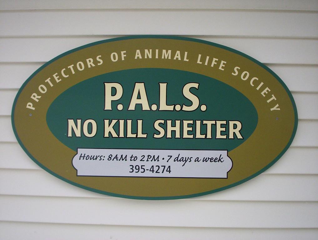 Pals Animal Shelter Winthrop ME 04364 2073954274