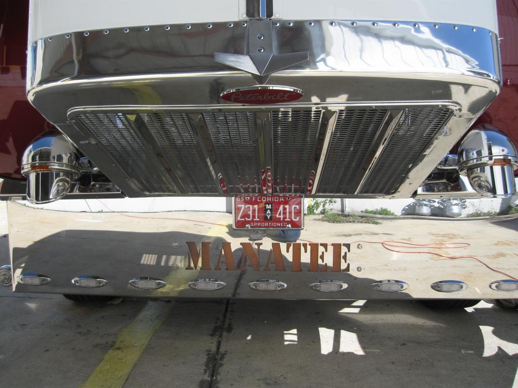 Big Dogs mobile Detailing & polishing Wesley Chapel FL 33545 813