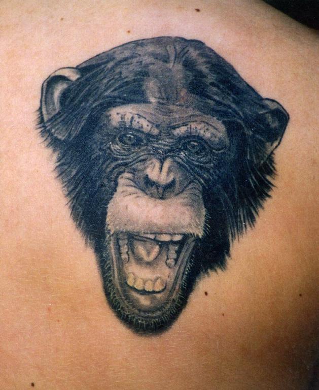 Zebra Tattoos & Piercing in Berkeley Berkeley CA 94704