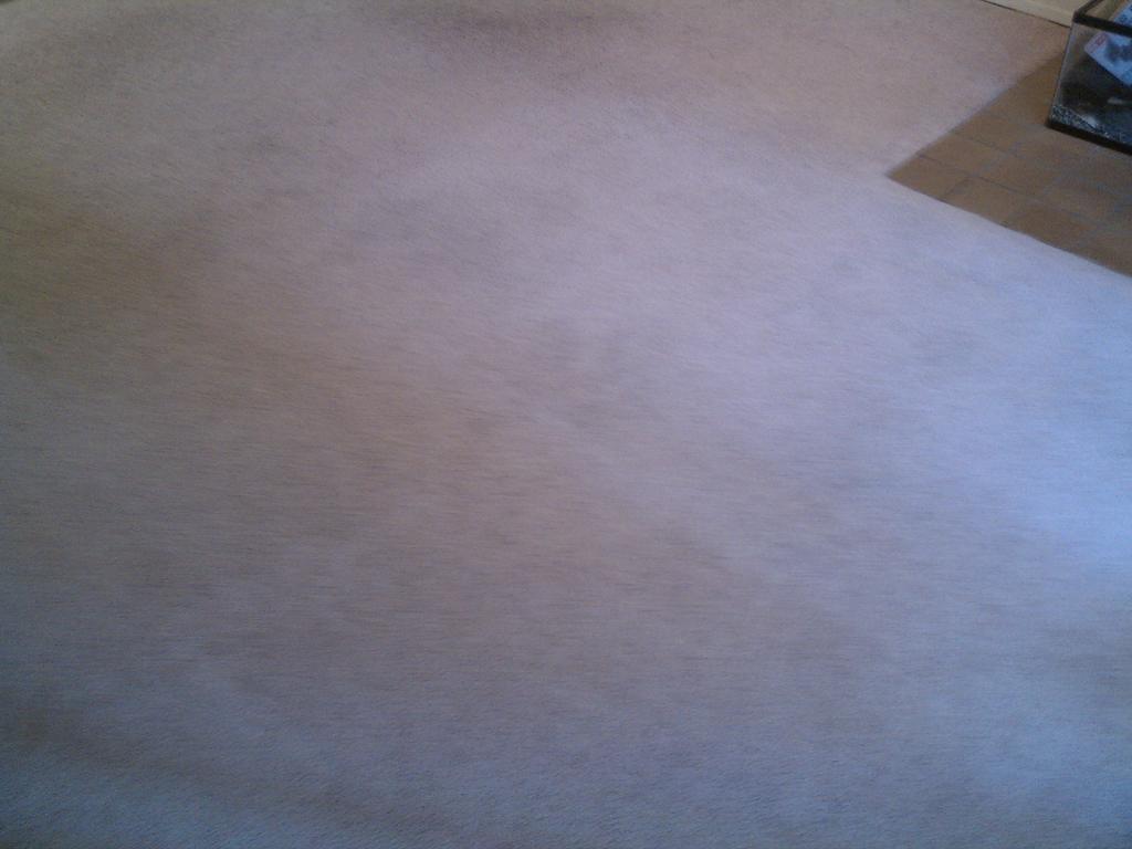 SAMMAMISH CARPET CLEANERS Sammamish WA 98075 4258023103