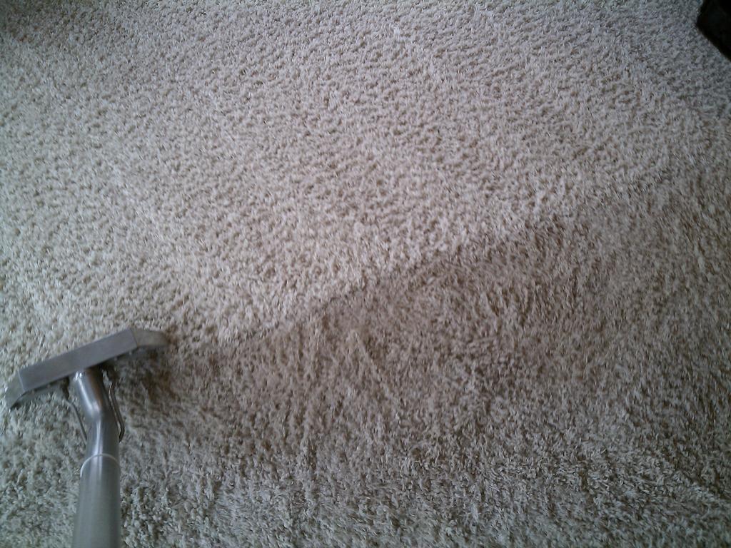SAMMAMISH CARPET CLEANERS Sammamish WA 98075 4258023103