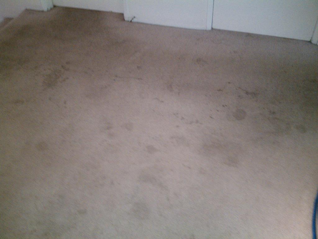 REDMOND CARPET CLEANING Redmond WA 98052 4258023103